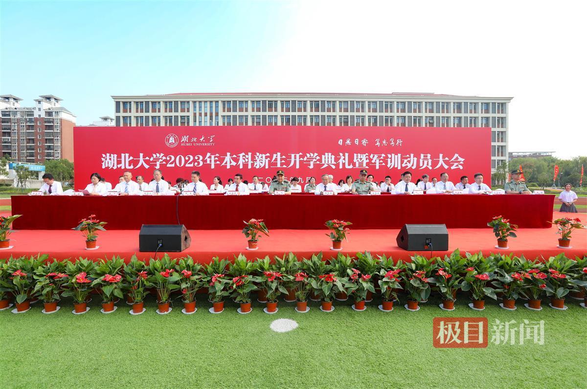 赌注网